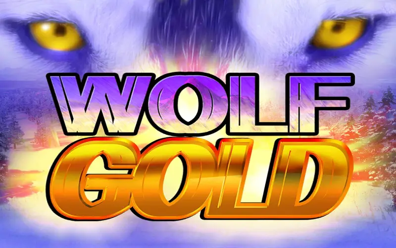 Trigger rewarding free spins in the untamed Wolf Gold slot on Parimatch.